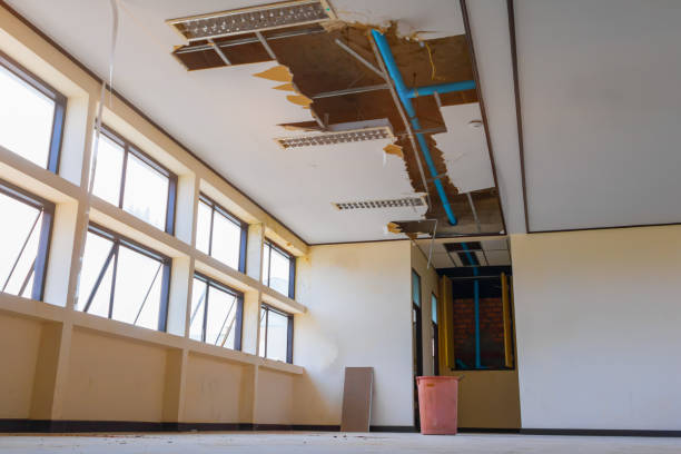 Best Water damage restoration services  in Brush, CO