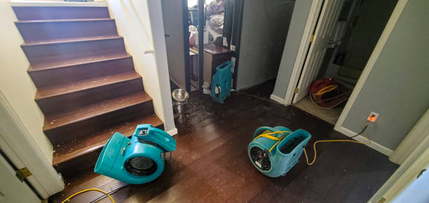 Water damage restoration insurance claims in CO