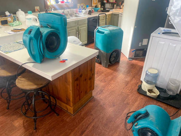 Best Water damage restoration specialists  in Brush, CO