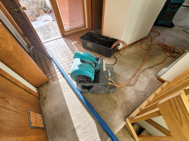 Best Fire Damage Restoration  in Brush, CO