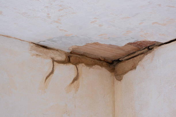 Water damage restoration mold remediation in CO