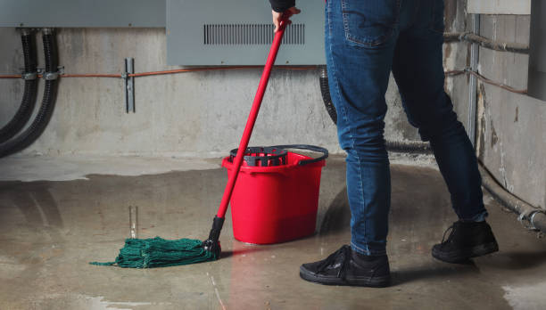 Best Ceiling water damage repair  in Brush, CO