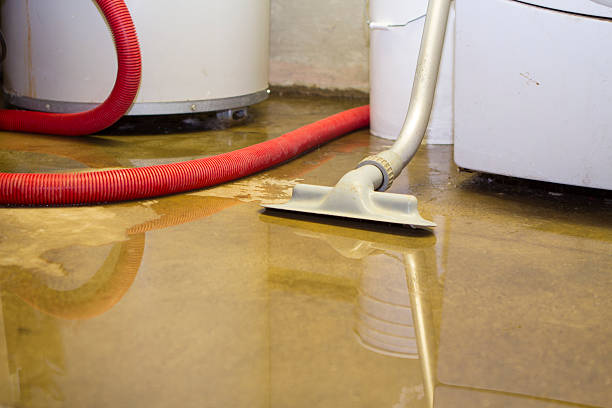 Best 24-hour water damage restoration  in Brush, CO