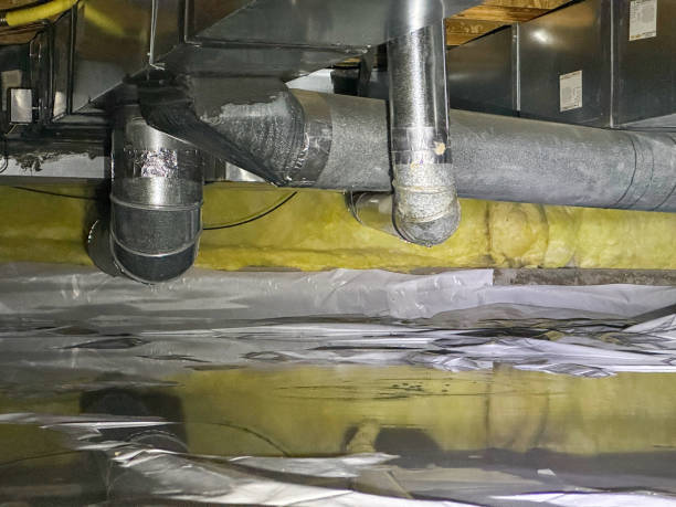Best Water damage restoration near me  in Brush, CO