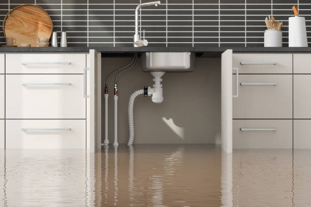 , CO Water damage restoration Company